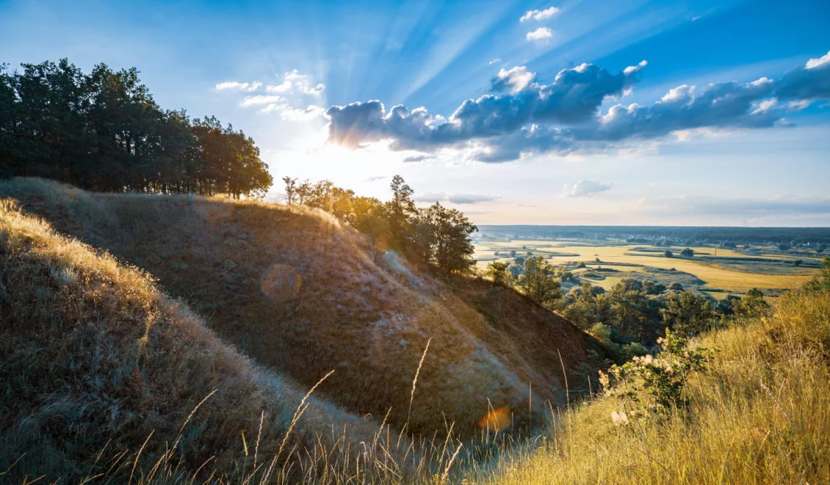 Czy można znaleźć kardiologa w swoim mieszkaniu?