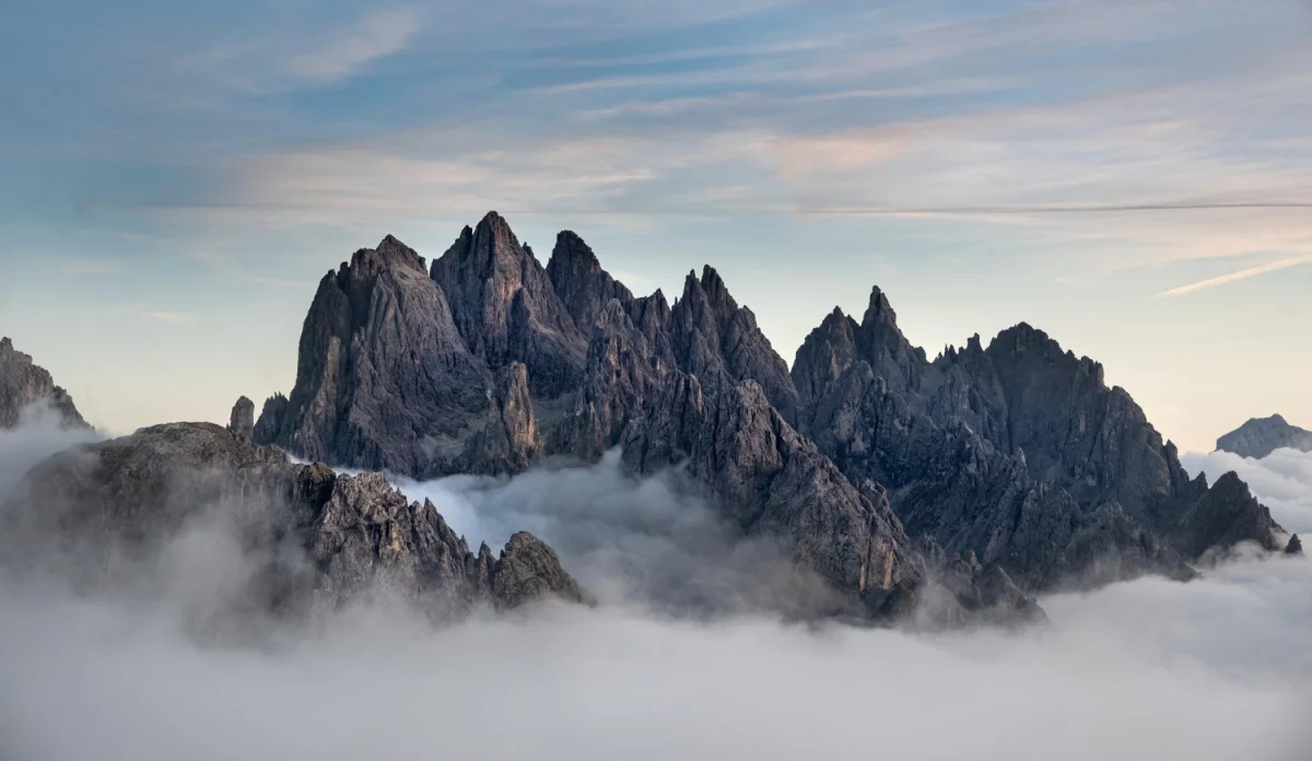  New data how to buy us auto parts 