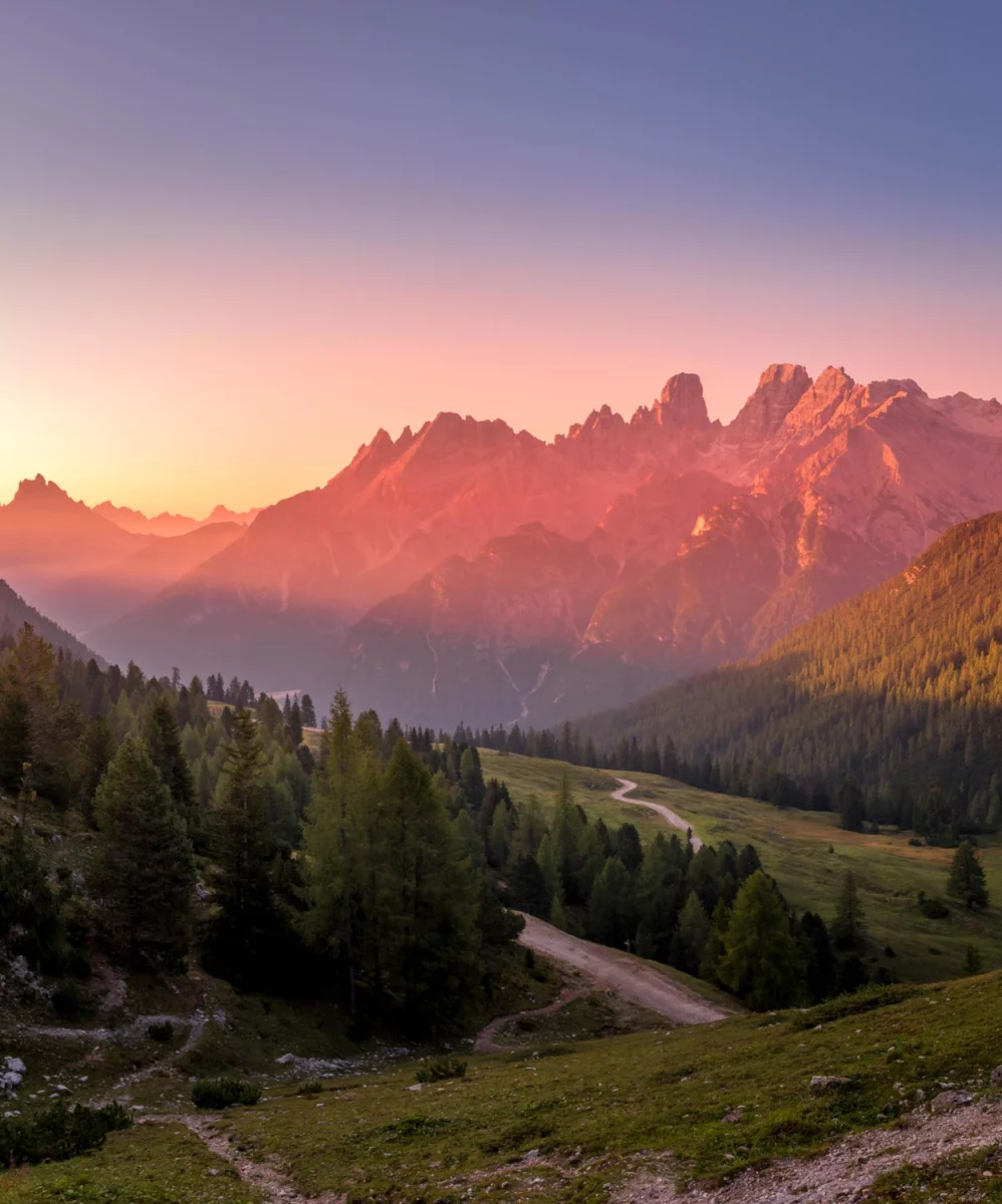 CASE STUDY How to stop engine smoke in 12 days?