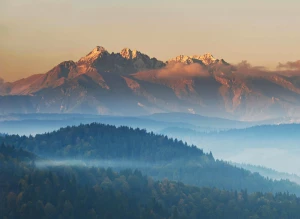 Czy warto znaleźć kardiologa? Koszty i ceny