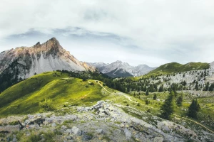 Jeg lurer på hvem som kan kjøpe kontormøbler?