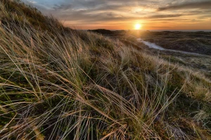 Czy w 2025 warto  raportować do ESG?